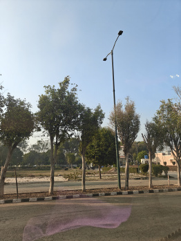 Property for sale in Sector 109 Mohali