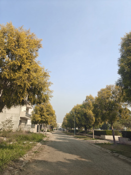 Property for sale in Sector 109 Mohali