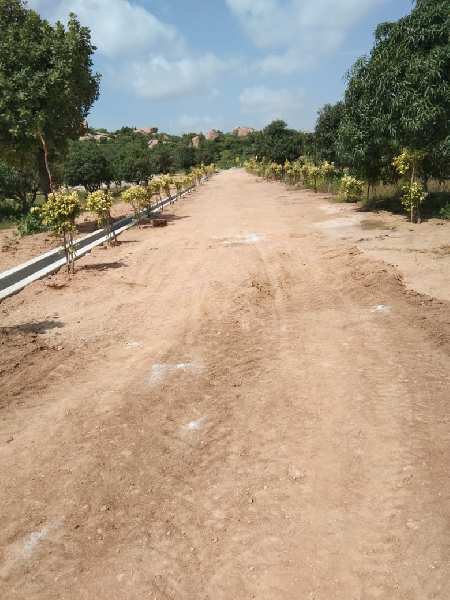 303 Sq. Yards Agricultural/Farm Land for Sale in Narayankhed, Medak