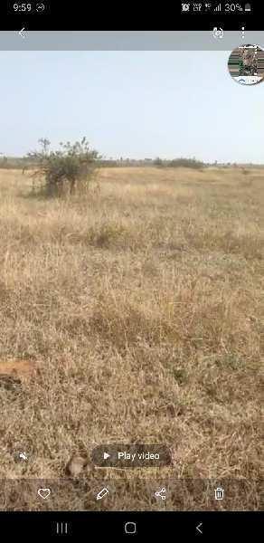 8.50 Acre Agricultural/Farm Land for Sale in Katol, Nagpur