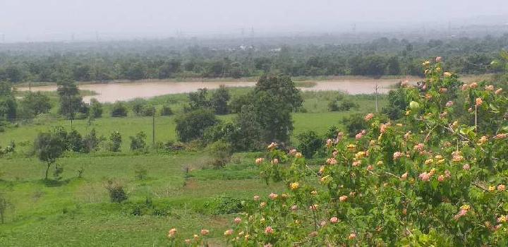 8.5 Acre Agricultural/Farm Land for Sale in Narkhed, Nagpur