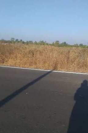 6.25 Acre Agricultural/Farm Land for Sale in Katol, Nagpur