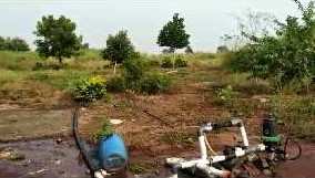 12 Acre Agricultural/Farm Land for Sale in Katol, Nagpur