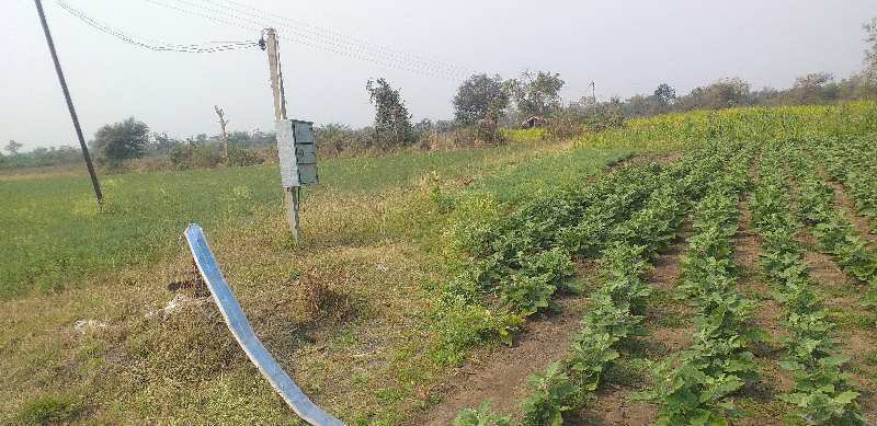 8.5 Acre Agricultural/Farm Land for Sale in Katol, Nagpur