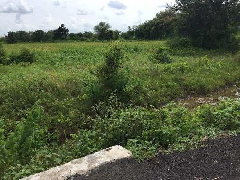 3.75 Acre Agricultural/Farm Land For Sale In Katol, Nagpur