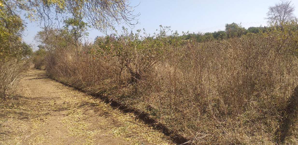 1.5 Acre Agricultural/Farm Land for Sale in Mohapa, Nagpur