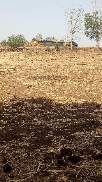 6 Acre Agricultural/Farm Land for Sale in Kalameshwar, Nagpur
