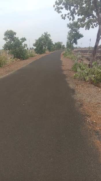 17 Acre Agricultural/Farm Land for Sale in Katol, Nagpur