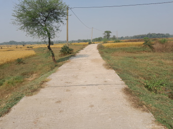 Residential Plot for Sale in Indpur, Bankura (15 Bigha)