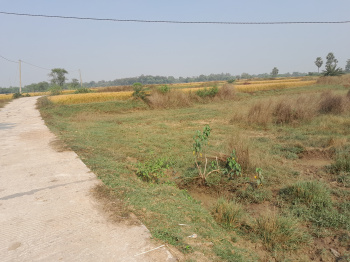 Property for sale in Indpur, Bankura