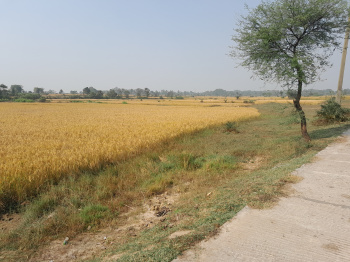 Property for sale in Indpur, Bankura