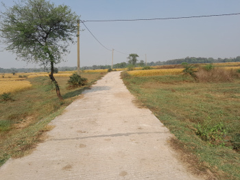 Property for sale in Indpur, Bankura