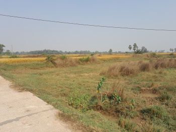 Property for sale in Indpur, Bankura