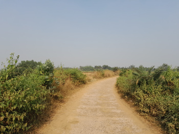 Agricultural/Farm Land for Sale in Beliatore, Bankura (25 Bigha)