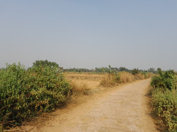 Property for sale in Beliatore, Bankura