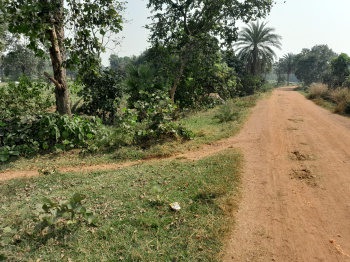 Agricultural/Farm Land for Sale in Gangajalghati, Bankura (25 Bigha)