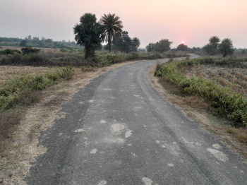 Agricultural/Farm Land for Sale in Chhatna, Bankura (12 Bigha)