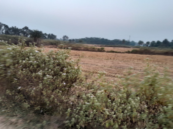 Property for sale in Chhatna, Bankura