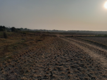 Property for sale in Dhabani, Bankura