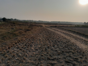 Property for sale in Dhabani, Bankura