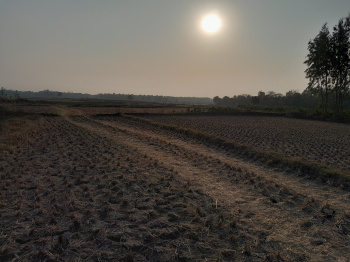 Property for sale in Dhabani, Bankura