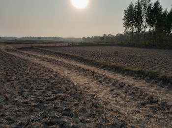 Property for sale in Dhabani, Bankura