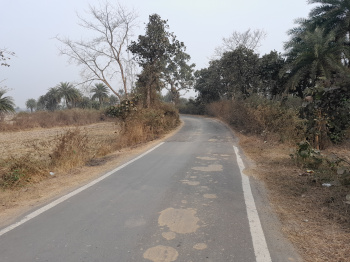 Agricultural Land for Sale in Bankura, 100 Bigha Prime Farmland at Chhatna