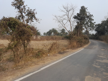 Property for sale in Chhatna, Bankura