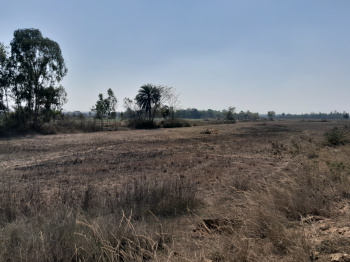 Property for sale in Beliatore, Bankura