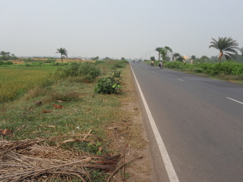 Land for Sale in Bankura, Prime 20 Bigha Commercial Plot at Dhaldanga, Bankura