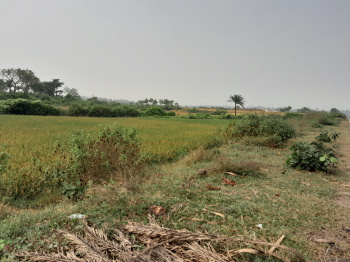 Property for sale in Gobindanagar, Bankura