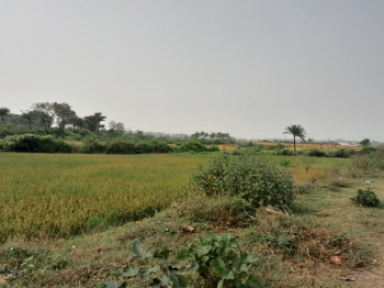 Property for sale in Gobindanagar, Bankura