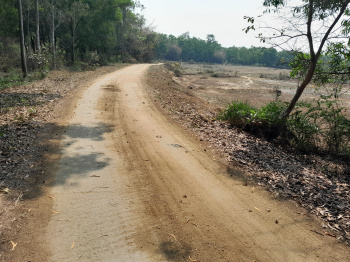 60 Bigha Agricultural/Farm Land for Sale in Bankra, Bankura