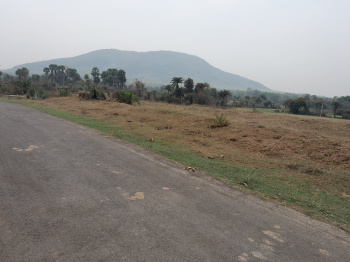 Land for Sale Susunia Hill Bankura, Affordable Investment Opportunity
