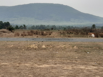 Agricultural Land for Sale in Susunia, Bankura, Affordable 5 Bigha Farmland with Road Access