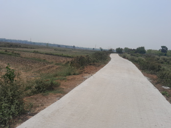 Agricultural Land for Sale in Durgapur