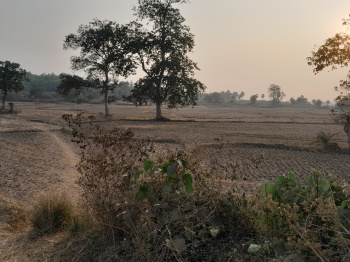Property for sale in Beliatore, Bankura