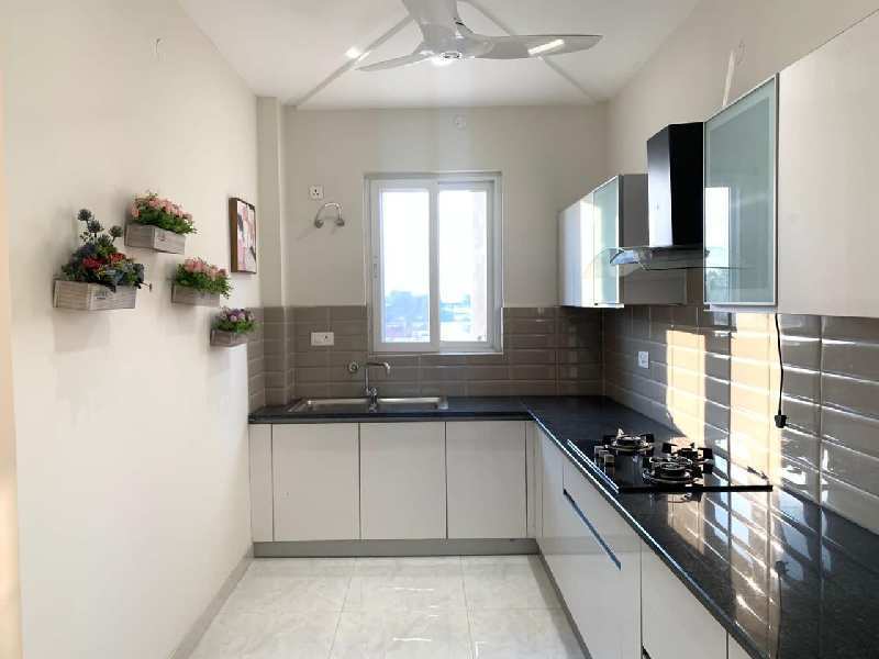 3 BHK Flats & Apartments for Sale in Sector 92, Mohali (1200 Sq.ft.)