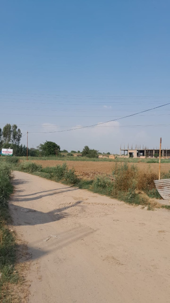 1952.33 Sq.ft. Industrial Land / Plot for Sale in Sector 103, Mohali