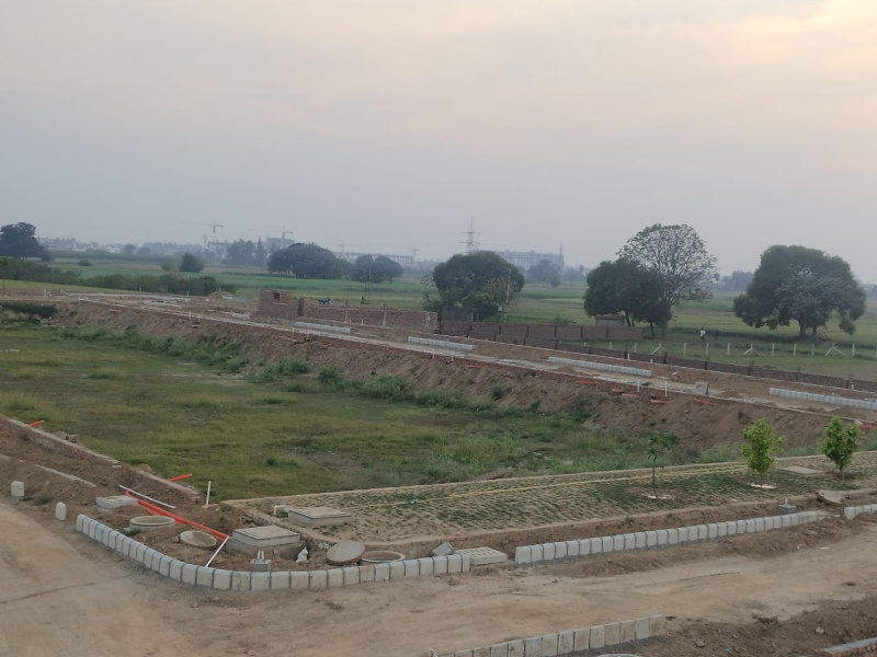 500 Sq. Yards Residential Plot for Sale in Dayalpura, Zirakpur