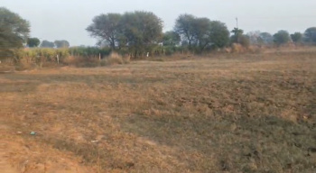 Flats & Apartments for Sale in Sector 99, Mohali (2050 Sq.ft.)