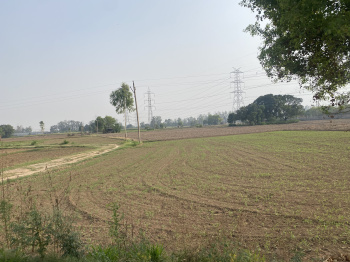Agricultural/Farm Land for Sale in Banur, Mohali (6 Acre)
