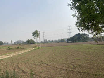 Agricultural/Farm Land for Sale in Mullanpur Garibdass, Mohali (80 Acre)