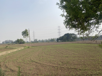 5 Acre Hotel & Restaurant for Sale in Phase I, Chandigarh