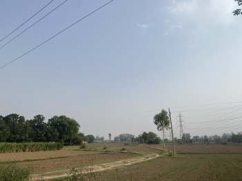 Agricultural/Farm Land for Sale in Industrial Area Phase I, Chandigarh (5 Acre)