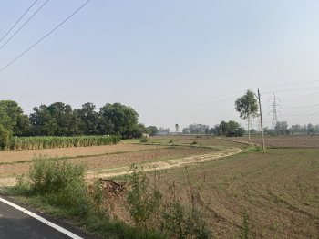 10.50 Sq.ft. Agricultural/Farm Land for Sale in Ecocity Phase 2, New Chandigarh, Chandigarh