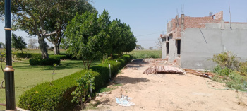 Property for sale in Jattari, Aligarh