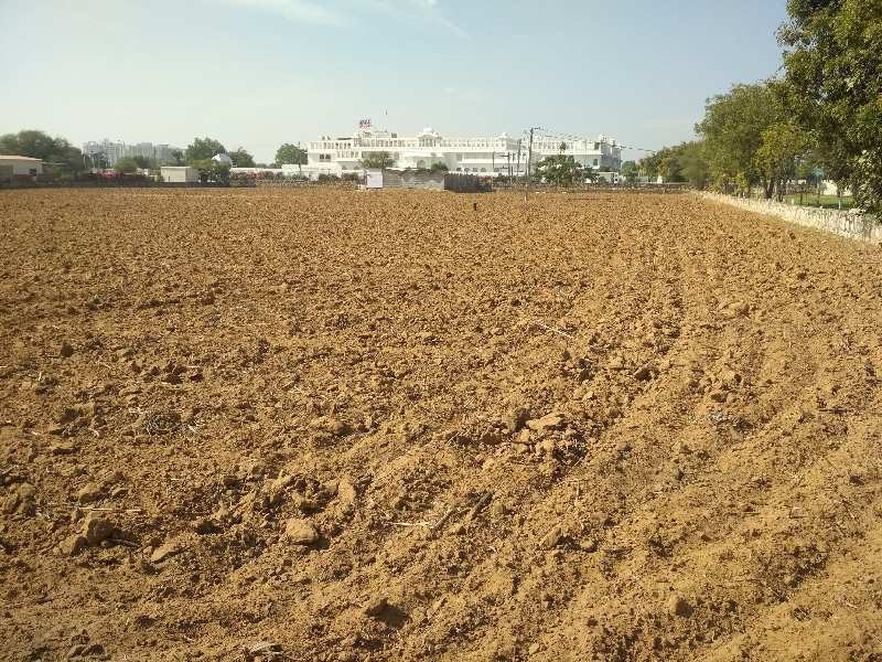 Agricultural/Farm Land For Rent In Bhankrota, Jaipur (3 Bigha)