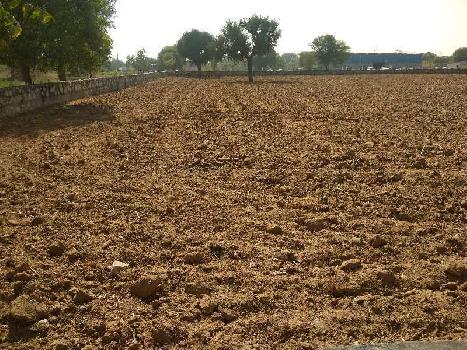 Property for rent in Bhankrota, Jaipur