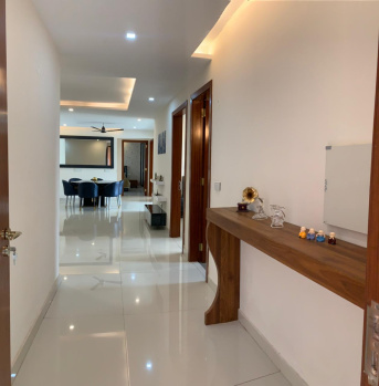 10 marla old liveable house for sale in sector 11 panchkula